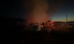 2 yayla evi yangında küle döndü