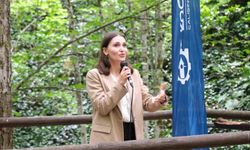 Çocuklardan erken yaşta yüksek beklenti kaygıya yol açıyor