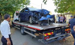 Direksiyon hakimiyetini kaybeden otomobil ağaca çarptı