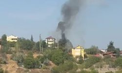 Otluk alanda çıkan yangın evlere sıçramadan söndürüldü