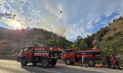 Orman yangını 2 saatte kontrol altına alındı
