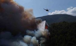 Orman yangınına havadan ve karadan müdahale sürüyor