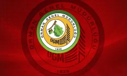 Orman İşletme Müdürlüğü harçlı ıslah sekisi, gabion eşik, ahşap eşik, kafes tel eşik ve kutu menfez yapım işi