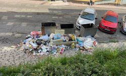 Zonguldak’ta düzenli çevre kirliliği: Vatandaş tepkili