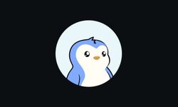 Pengu Coin Nedir? Nasıl Alınır?