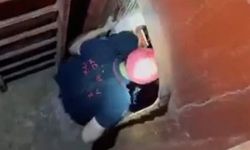 Limanda geminin ambarına düşen işçi yaralandı