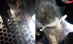 Zonguldak’ta yürekleri ısıtan kurtarma