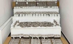 Bin 912 bandrol ile 206 bin 300 makaron ele geçirildi