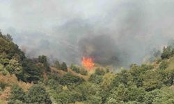 Yangının çıkış nedeni araştırılıyor