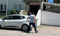 Kurban kesiminde yaralanan acemi kasaplar hastaneye koştu