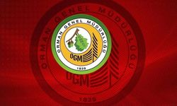 Kdz. Ereğli Orman İşletme Müdürlüğü Kandilli Ekoturizm Alanı doğa yürüyüş parkuru donatıları yapım işi