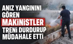 Anız yangınını gören makinistler treni durdurup müdahale etti
