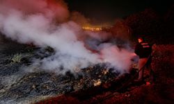 Korkutan anız yangını: Ormana sıçramadan söndürüldü