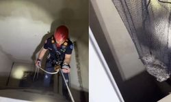 Apartman boşluğuna düşen yavru martı ekiplerce kurtarıldı