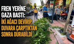 Fren yerine gaza bastı: İki ağacı devirip, duvara çarptıktan sonra durabildi
