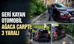 Geri kayan otomobil ağaca çarptı: 3 yaralı
