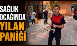 Sağlık ocağında yılan paniği