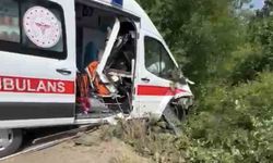 Hasta taşıyan ambulans yoldan çıkarak yeşillik alana savruldu