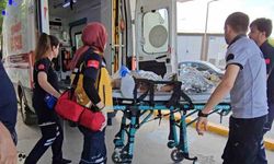 5 yaşındaki çocuk havuzda boğulma tehlikesi geçirdi