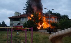 Ardiyede çıkan yangın evlere sıçramadan söndürüldü