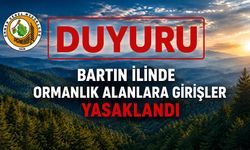 Sıcaklıklar arttı, ormanlara giriş yasaklandı