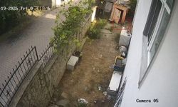 Karganın yumurta hırsızlığı görüntülendi
