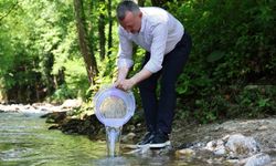 Orman içi sulara 50 bin kırmızı benekli alabalık dopingi