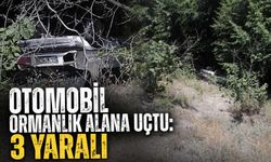 Otomobil ormanlık alana uçtu: 3 yaralı