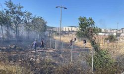 Saman yüklü tırın römorkunda çıkan yangın mahalleyi sardı