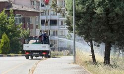 Sinek ve haşereyle mücadele çalışmaları sürüyor