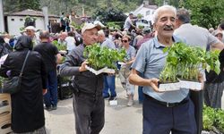 Ücretsiz fide dağıtımına yoğun katılım