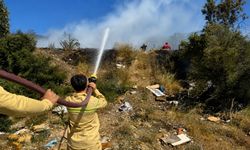 Ağaçlık alanda yangın: Söndürme çalışmaları devam ediyor