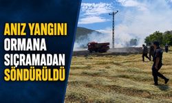 Anız yangını ormana sıçramadan söndürüldü