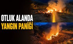 Otluk alanda yangın paniği