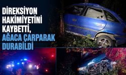 Direksiyon hakimiyetini kaybetti, ağaca çarparak durabildi