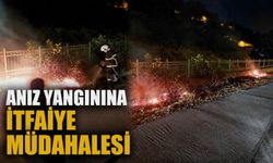 Anız yangınına itfaiye müdahalesi
