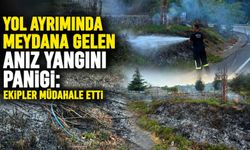Yol ayrımında meydana gelen anız yangını paniği: Ekipler müdahale etti