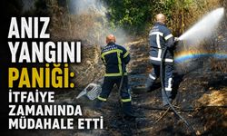 Anız yangını paniği: İtfaiye zamanında müdahale etti