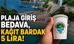 Plaja giriş bedava, kağıt bardak 5 lira!