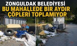 Zonguldak Belediyesi bu mahallede bir aydır çöpleri toplamıyor