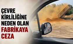 Çevre kirliliğine neden olan fabrikaya ceza