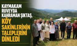 Kaymakam Ruveyda Kahraman Şıktaş, köy sakinlerinin taleplerini dinledi