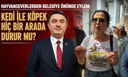 Hayvanseverlerden belediye önünde eylem: Kedi ile köpek hiç bir arada durur mu?