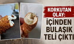 Korkutan olay: İçinden bulaşık teli çıktı