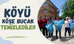 Köyü köşe bucak temizlediler