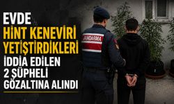 Evde hint keneviri yetiştirdikleri iddia edilen 2 şüpheli gözaltına alındı