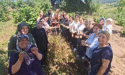 Kadın üreticilere salep desteği: Aydınlar Köyü’nde eğitim verildi