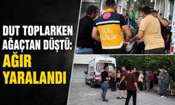 Dut toplarken ağaçtan düştü: Ağır yaralandı