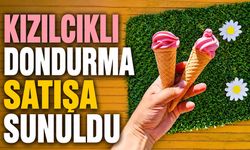 Kızılcıklı dondurma satışa sunuldu