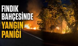Fındık bahçesinde yangın paniği